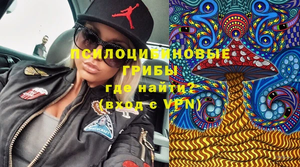 ГАЛЛЮЦИНОГЕННЫЕ ГРИБЫ Абинск