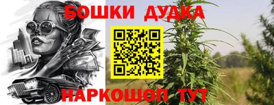 индика Конаково