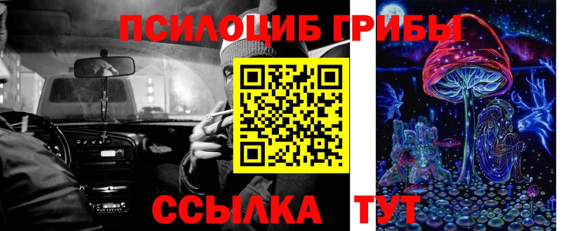 купить   Псилоцибиновые грибы мицелий  Галлюциногенные грибы MAGIC MUSHROOMS  Вход с VPN  Керчь 